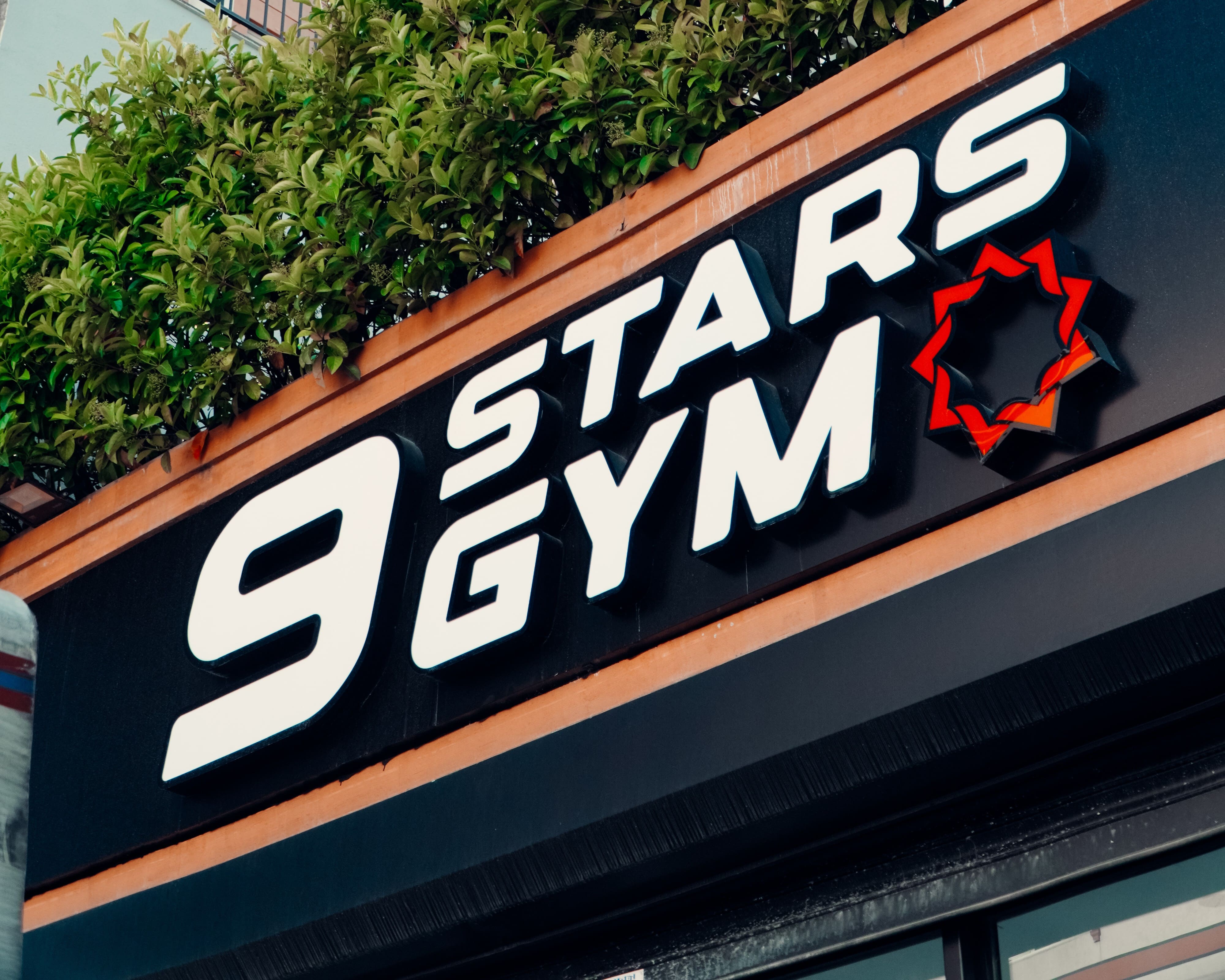 9 Stars Gym - Profesyonel MMA Kafesi ve Antrenman Alanı